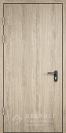 Противопожарная дверь «Однопольная противопожарная дверь с МДФ №19» - фото